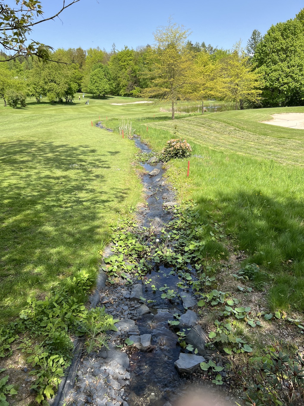 bachlauf