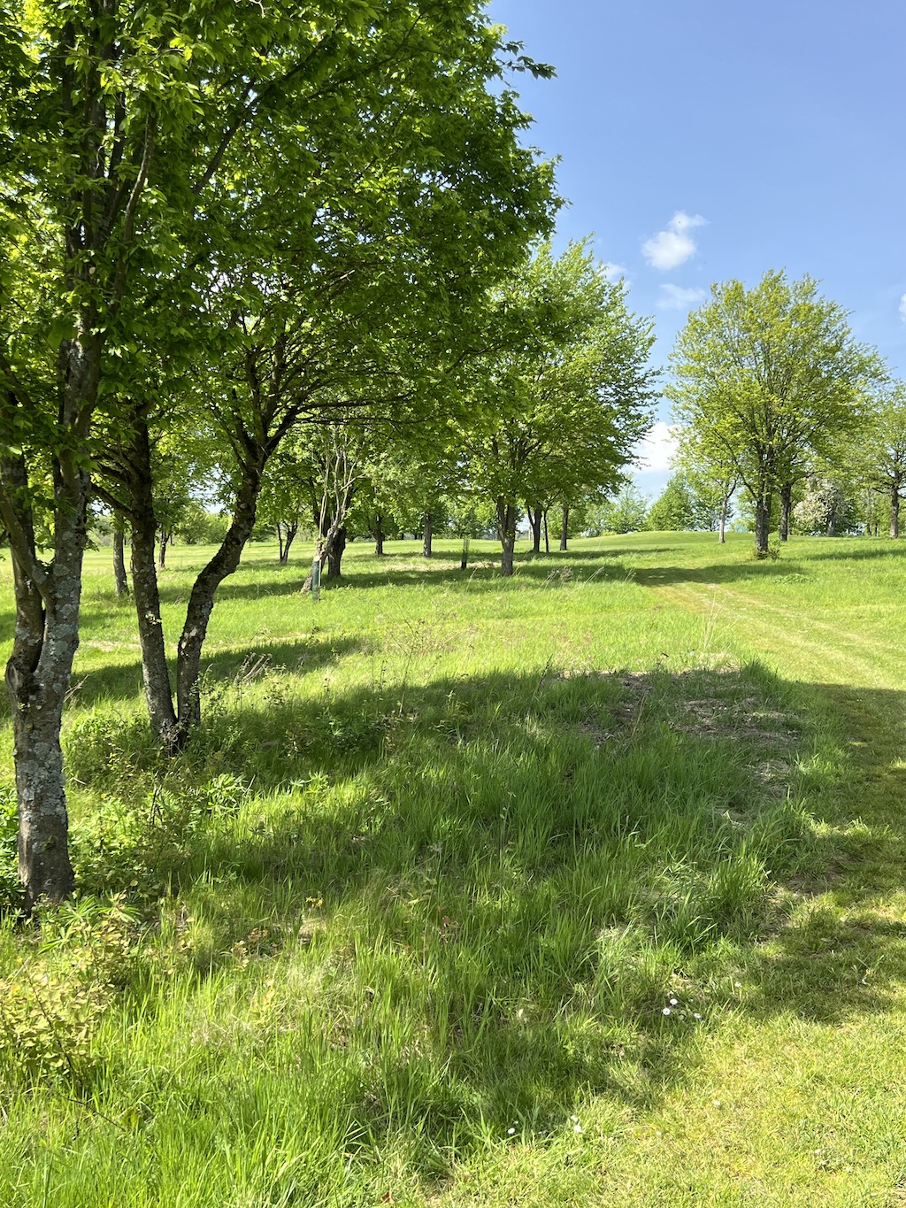 magerwiesen